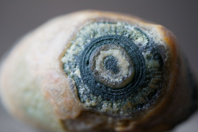 ゴビアゲート Gobi Agate 1284