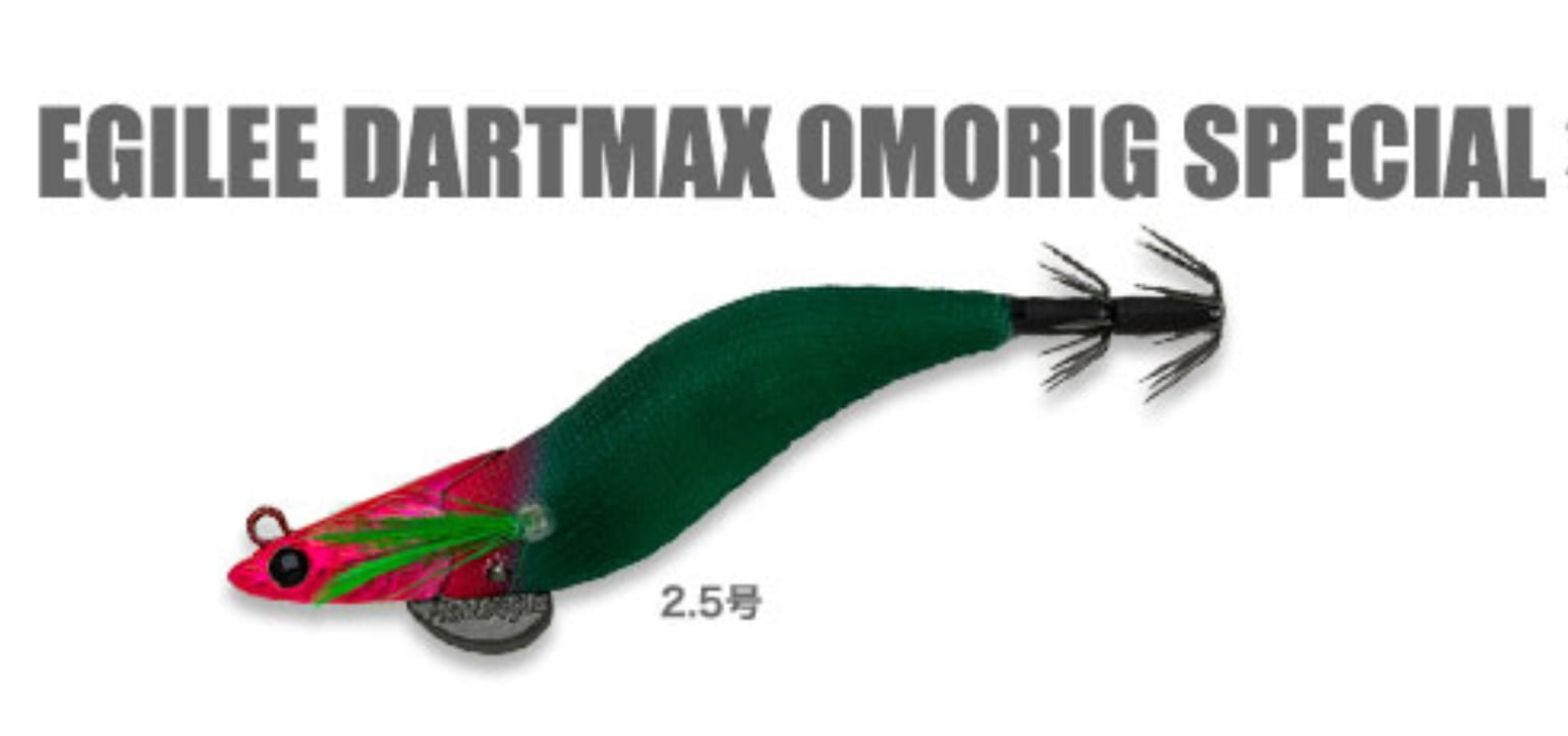 エギリー・ダートマックス オモリグスペシャル | ルアーショップB