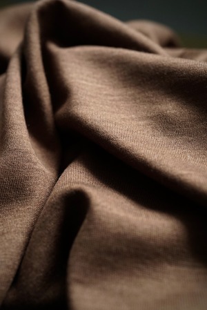 <予約商品＞Super120s Washable Wool Jersey / L/S Tee (AMBER)