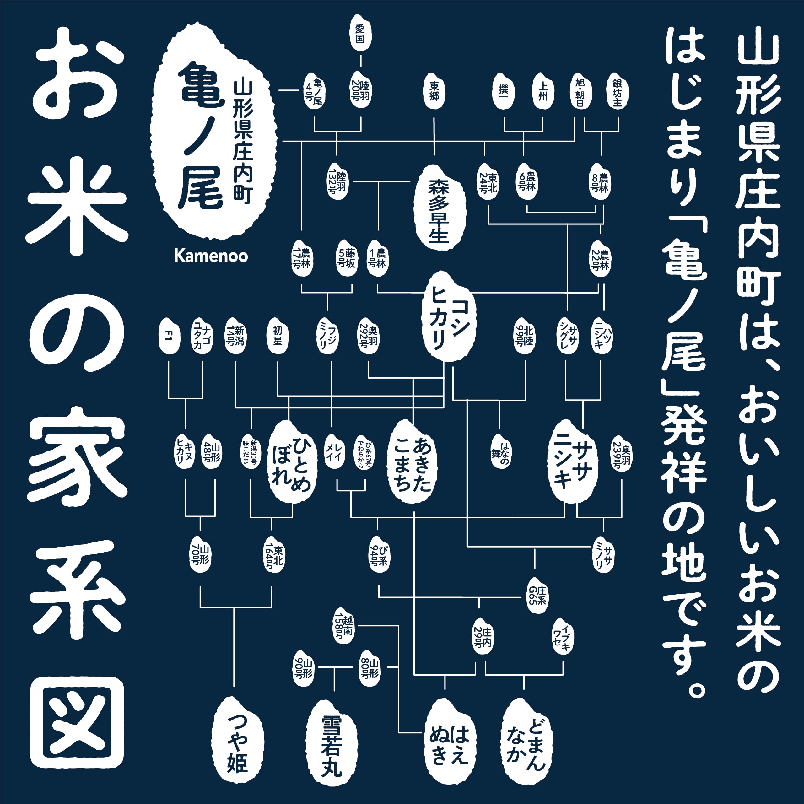 【山形】亀の尾せんべい