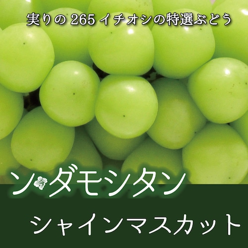 特選「ン・ダモシタン」シャインマスカット　２kg（3~4房）  5,000円（税込）