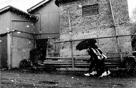 Shin Yanagisawa Untitled 1000部限定 柳沢信 / Untiled / Shin Yanagisawa 通常版 | roshinbooks