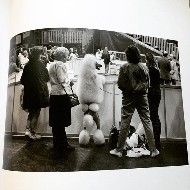 写真集「Elliott Erwitt's Dogs | 古本トロニカ 通販オンライン