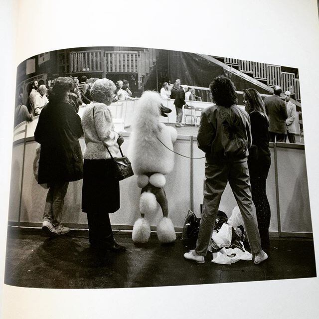 写真集「Elliott Erwitt's Dogs - 画像3