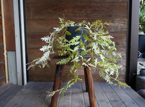 <専用> 2点おまとめ