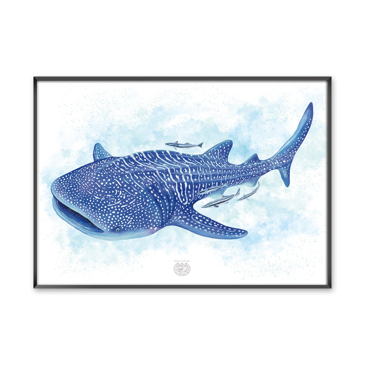 海のいきものアートポスター／魚】ジンベエザメ | UMIYA（ウミヤ）