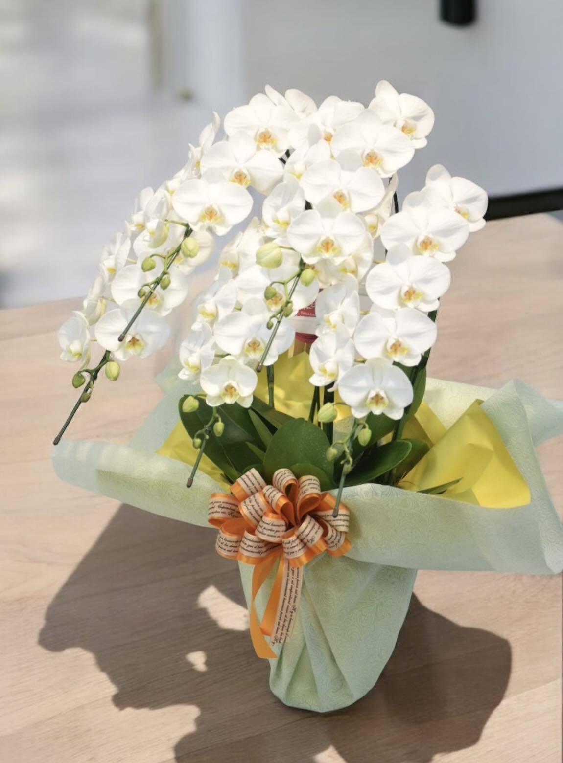 ホワイトロビンソン 5本立 | 有花園 ONLINE SHOP