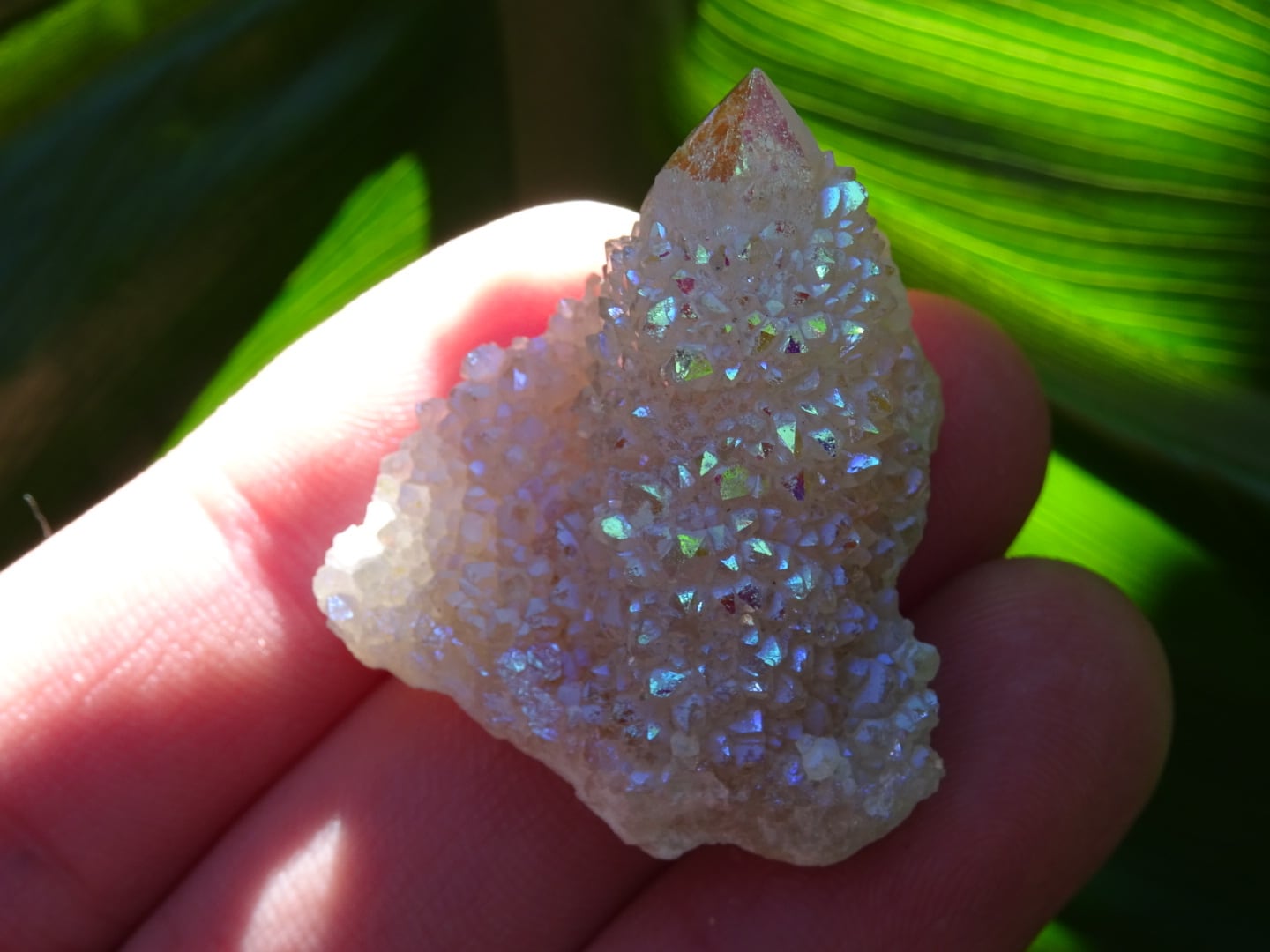 カクタスエンジェルオーラクォーツ | 虹石屋