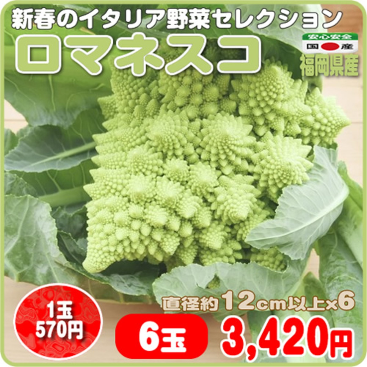 ブロッコリーより鮮やかなエメラルドグリーンが映える ロマネスコ 6玉セット 福岡県産 イーファーマーズ E Farmers ブロッコリーより鮮やかなエメラルドグリーンが映える ロマネスコ 6玉セット 福岡県産 イーファーマーズ E Farmers