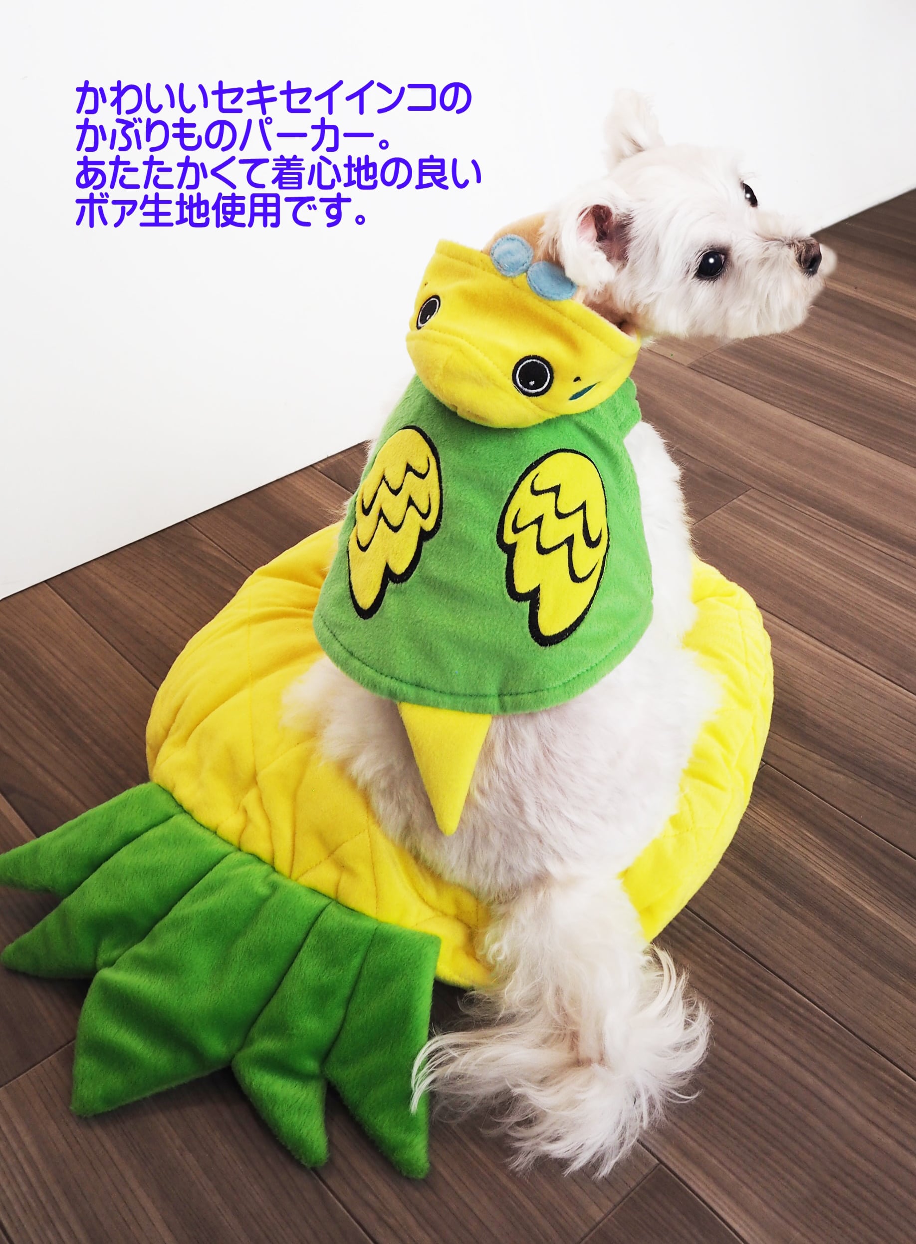 犬服 S わんこの普段着インコさん