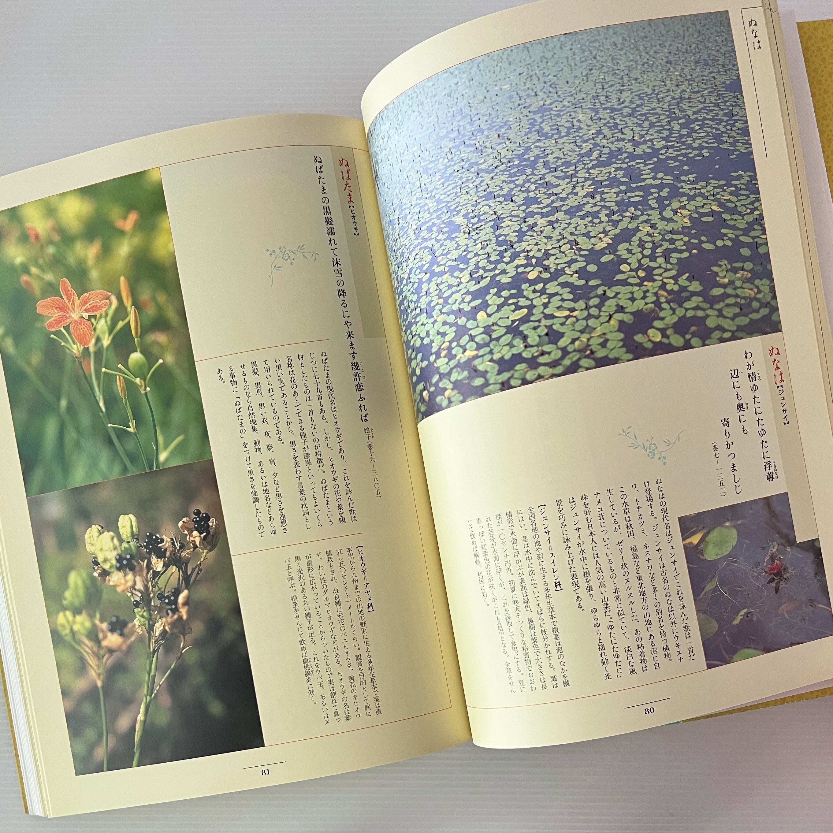 萬葉植物事典 普及版 大貫茂 著 ; 馬場篤 植物監修 クレオ | 古書店