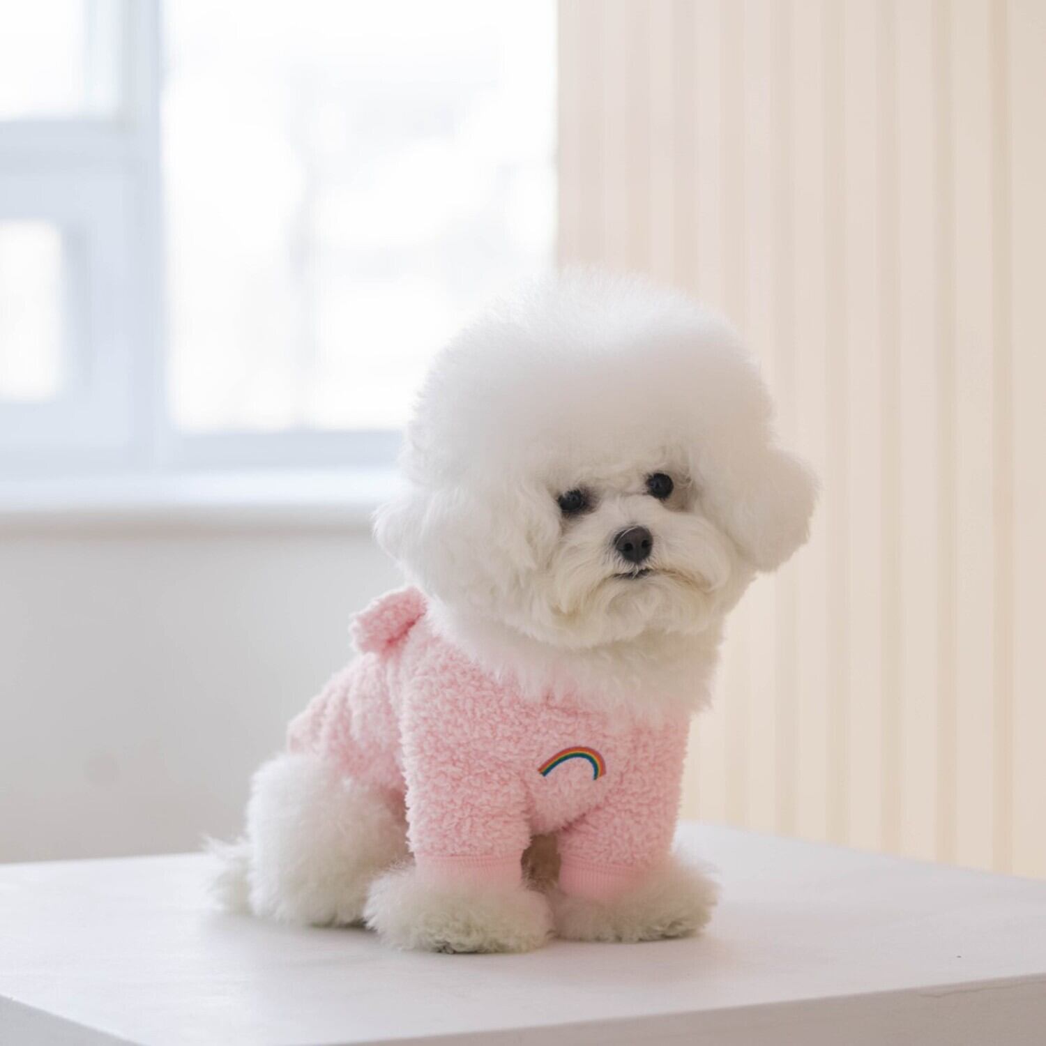 M〜XL】即納☆ケアベアもこもこフリースTシャツ ピンク♡ 犬用 春服