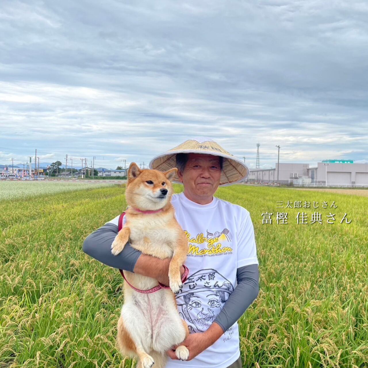 コマたろう出品　12/12 幻となった「Classicあきたこまち」】 三太郎おじさんの『純情こまち