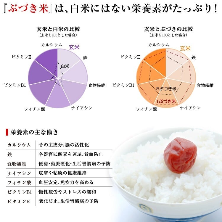 米 5kg【綾川町産】コシヒカリ - WEBPP | ピーカチ通販 米 5kg【綾川町産】コシヒカリ - WEBPP | ピーカチ通販