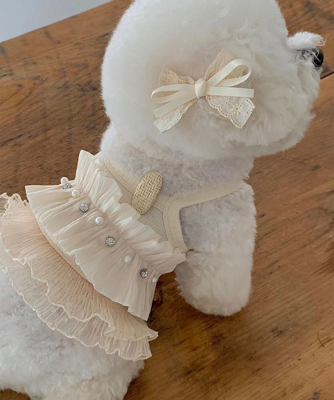 【seenii】SoonSu ops