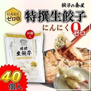 特撰生餃子（にんにくゼロ０）40個入【冷凍】