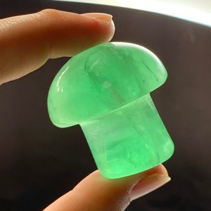 フローライトキノコとハリネズミさん