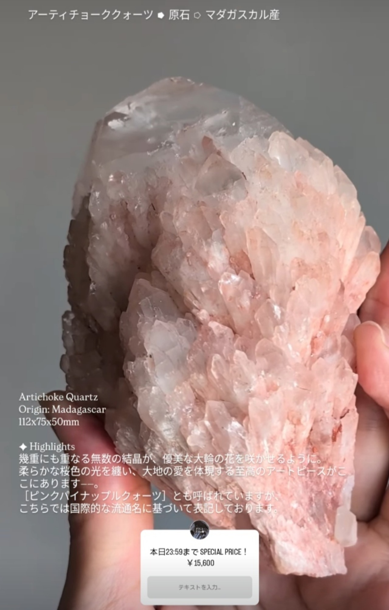 ⭔ お客様専用ページ ✦ hanaoka_yukari