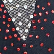 社交ダンス 衣装 タカダンス TAKADANCE スタンダード ドレス スタンダードドレス ワンピース 黒 赤 レース フロート デモ メッシュ ゴージャス 競技 ダンス パーティ ブラック系 レッド系 レディース 舞台衣装 フォーマル おしゃれ スポーツダンス ステージ衣装 競技用 コスチューム パーティードレス フリル ドレッシー