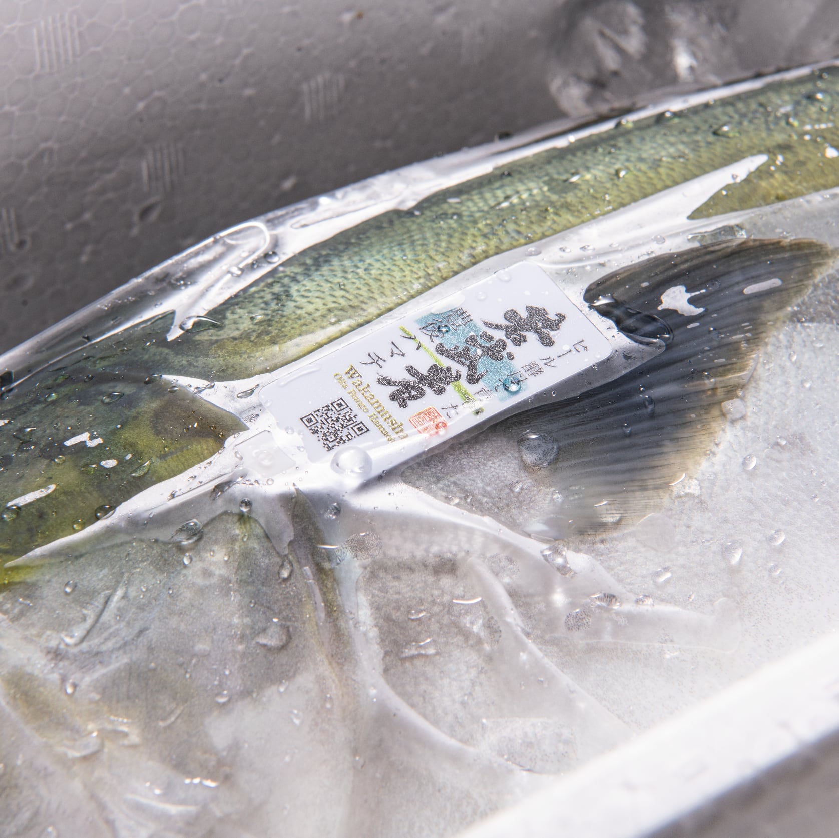 ！年末予約！[三枚おろし済１尾] 豊後ハマチ 若武者  ※送料込