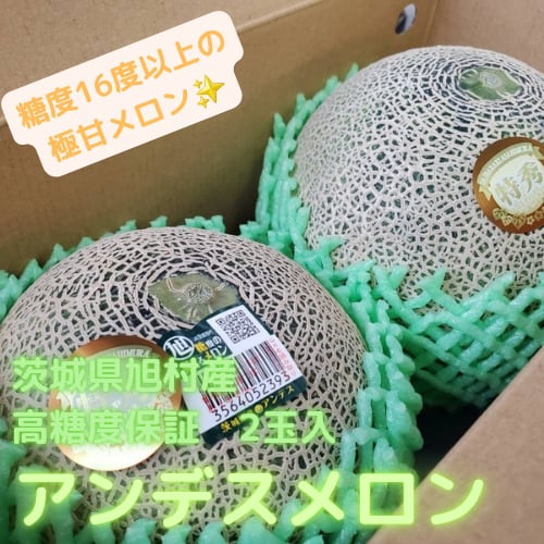 極甘メロン】茨城県旭村産 アンデスメロン”特秀以上” 2玉 糖度16度以上