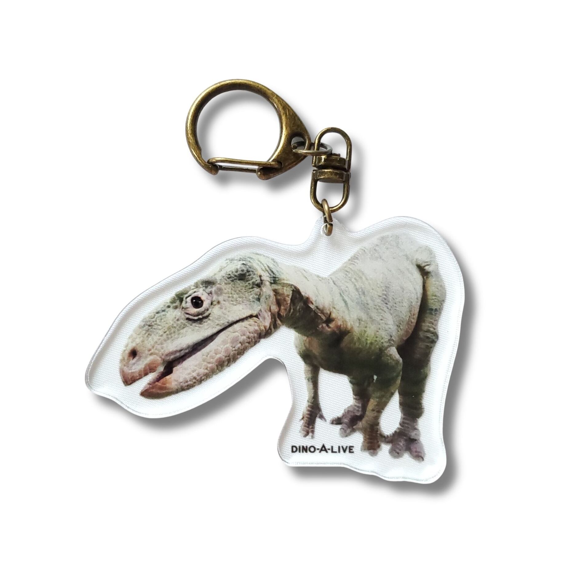 アクリルキーホルダー(フクイサウルス) | DINO-A-LIVE アクリルキーホルダー(フクイサウルス) | DINO-A-LIVE