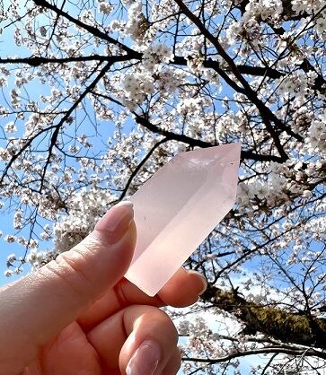 【ローズ クォーツ】 タワー ROSE QUARTZ Tower ポイント Rose Quartz Point - Polished Crystal Tower - 49 | New Moon Beginnings