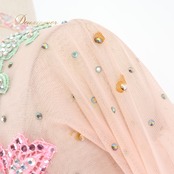 社交ダンス 衣装 白樺ドレス スタンダードドレス ワンピース ドレス スタンダード フロート レース デモ 競技 ダンス パーティ 発表会 明るい 綺麗 グリーン系 女性用 発表会用ドレス おしゃれ フェミニン 競技用衣装 レディース