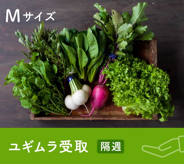 《隔週 / ユギムラ受取》FIO野菜-定期便 Mサイズ