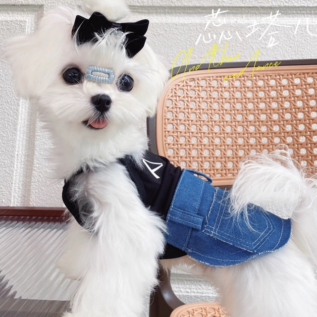 denim skirt one-piece