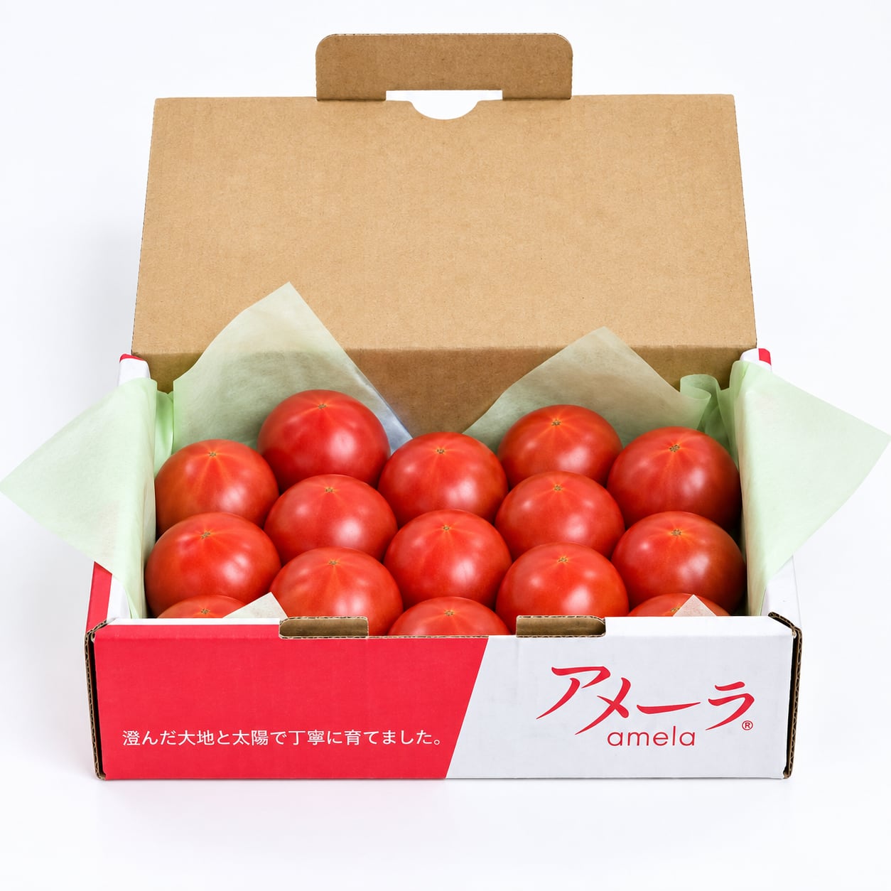 アメーラ(通年販売)