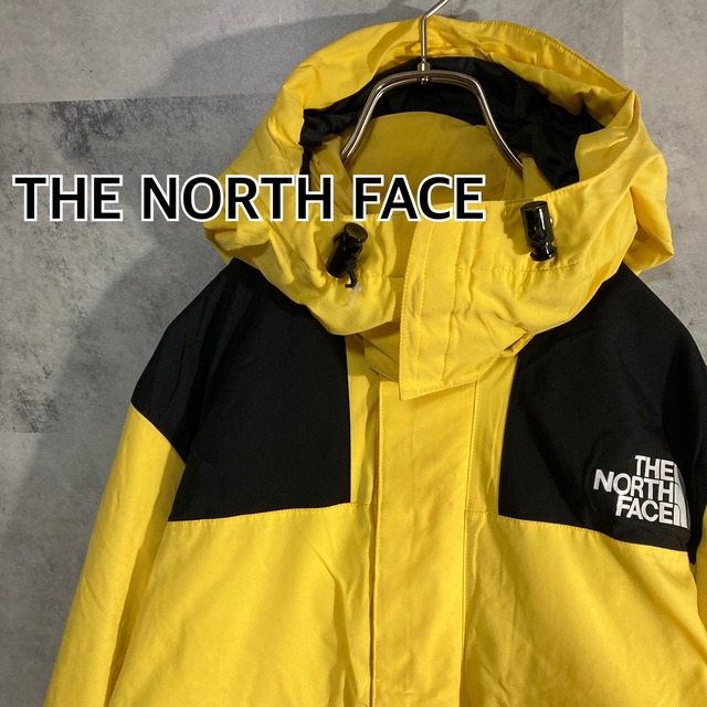 90s 日本製 復刻茶タグ THE NORTH FACE ノースフェイス ゴアテックス 