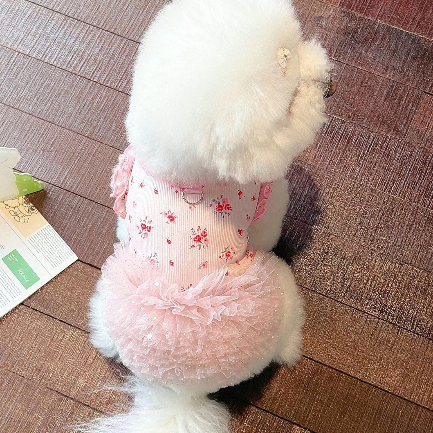 予約】ふんわりチュールフリルワンピース 犬服 小型犬用 花柄レース