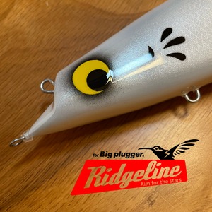 Hummingbird / Snow Dia Shad