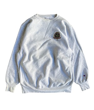 Vintage 90s Champion reverse weave sweatshirt -Plains Univesity-