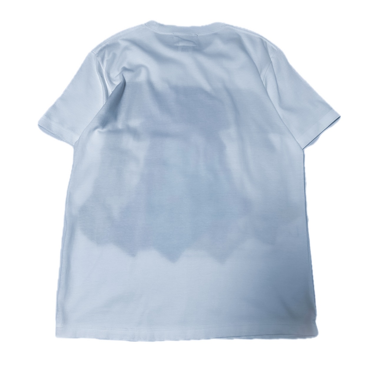 UNFINISHED ダヴィンチTシャツ24067