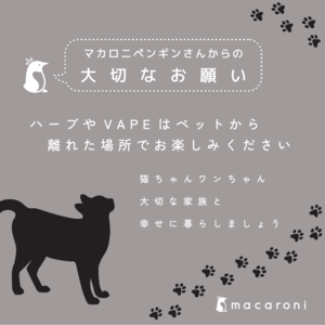 Ver2『CBG＋CBC×マカロニカンナビス』0.5ml