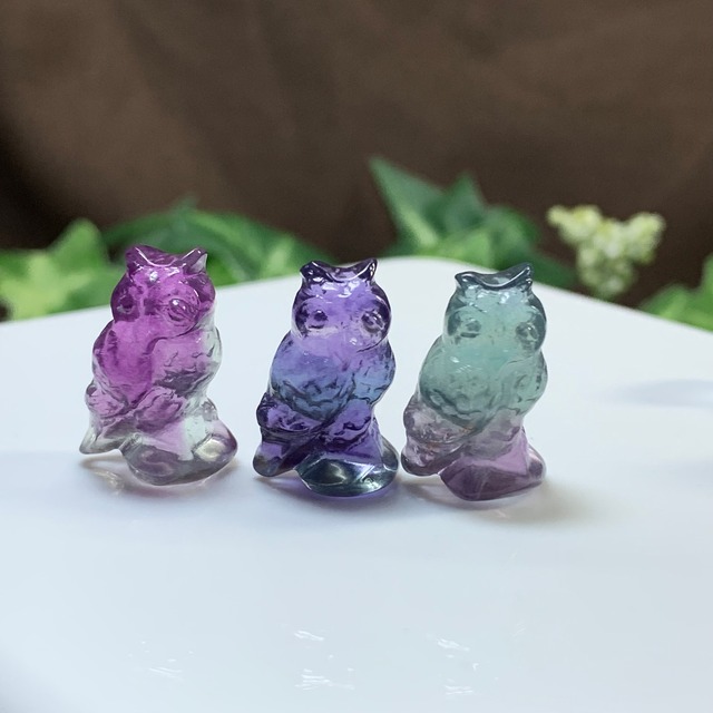 1.可愛い家族･小さいフローライトふくろう