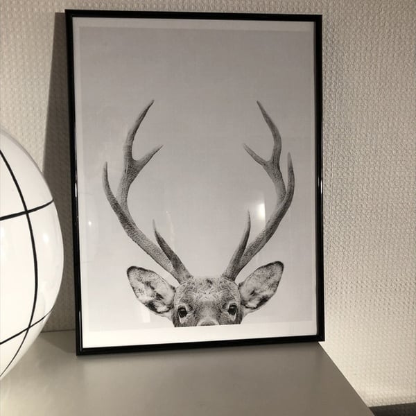 絵　絵画　かわいい　昆虫　動物　アート　インテリア　雑貨　おしゃれ　モダンアート 絵 絵画 かわいい 昆虫 動物 アート インテリア 雑貨 おしゃれ モダン