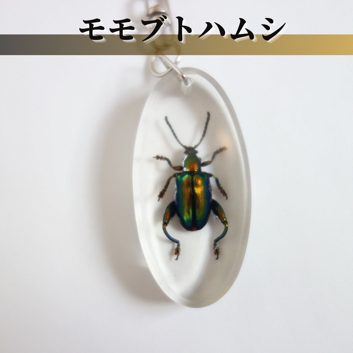 マコトティ