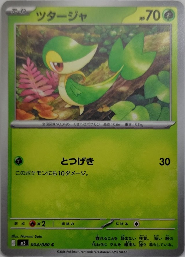 ツタージャ【M3-004】[C]