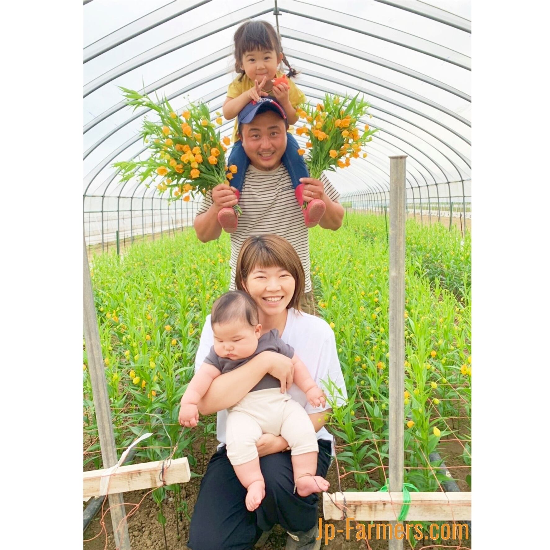 北海道産 道北なよろ農協の 氷点花 サンダーソニア M 本 Jp Farmers Com