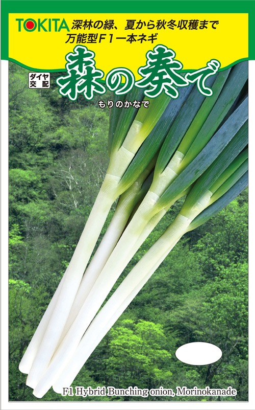 ネギ「森のかなで」（C5000粒） 画像