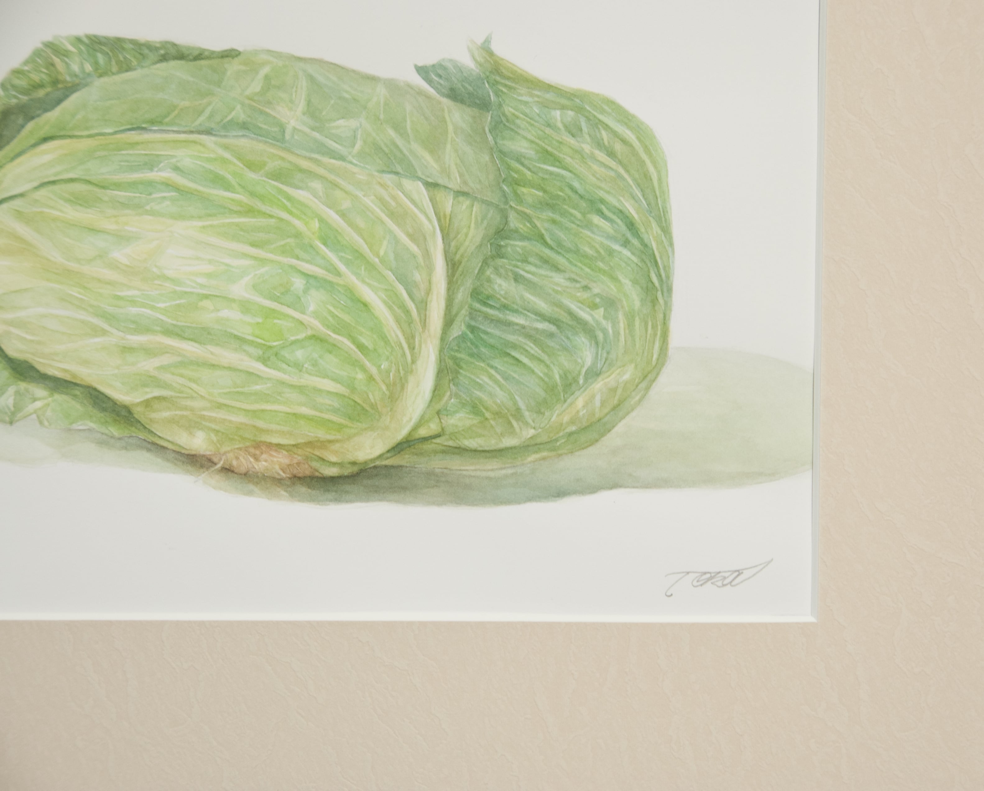 水彩画 F4号 「キャベツ」 | toka718
