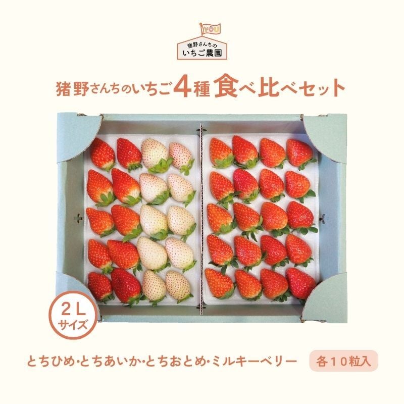 とちあいか（DXサイズ 6粒入り×2P） | 猪野さんちのいちご農園｜産直