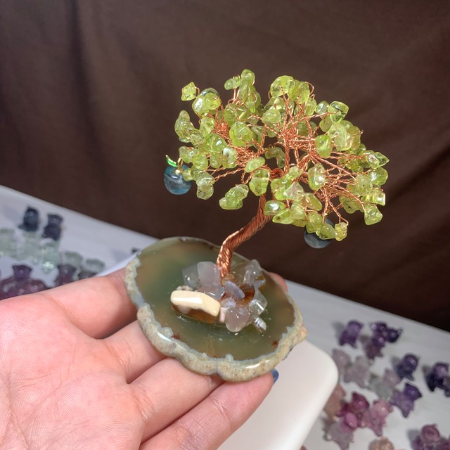 M2.くまちゃん×青いリンゴがなるペリドットツリー