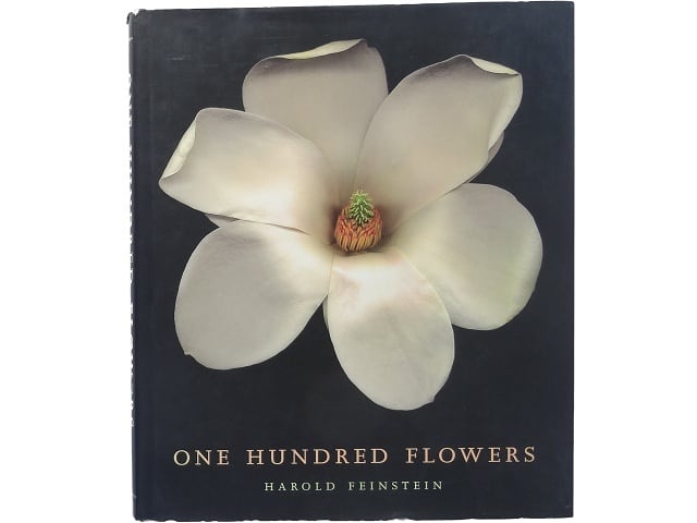 洋書◇ヴィンツェンツ・クラマーシュ 美術史 画集 作品写真集 本 絵画