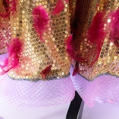 社交ダンス 衣装 スタンダード ドレス スタンダードドレス 紫 金 羽 ラメ デモ 競技 ダンス パーティ 発表会 スパンコール フロート キラキラ パープル系 ゴールド系 豪華ドレス スカート パーティードレス ダンス衣装 パフォーマンス衣装 競技用衣装