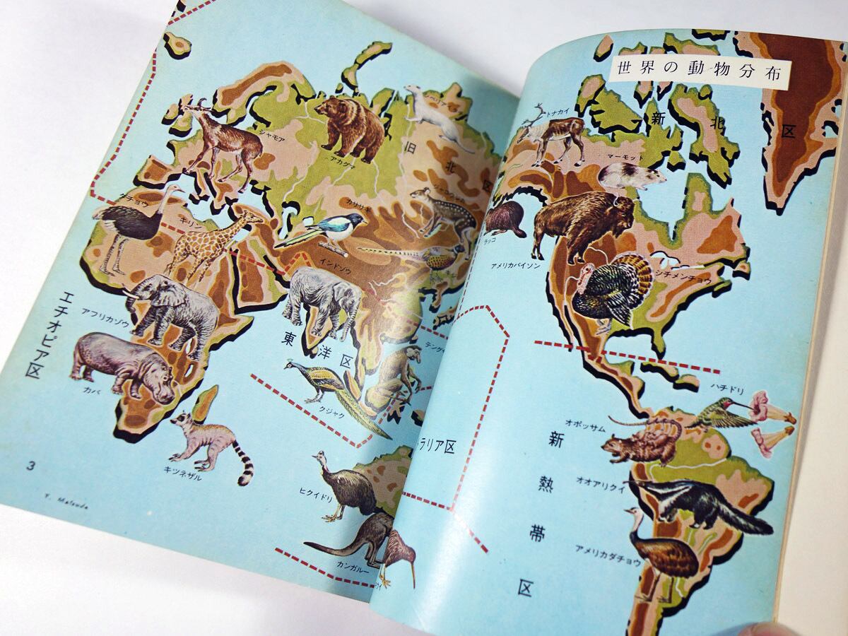 世界の動物（福田三郎 著）- カラーブックス16 | bookstore ナルダ