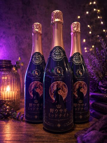 遠隔シャンパン オリシャンベーシック | PAY ID